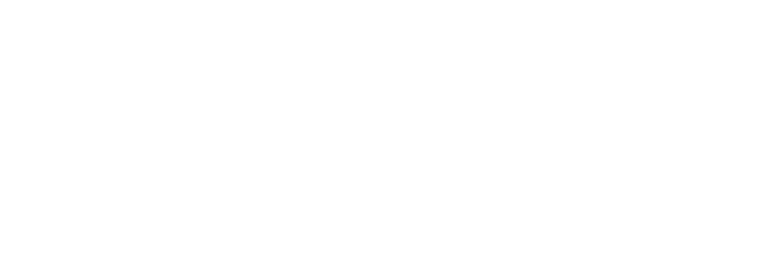海王出海品牌标志